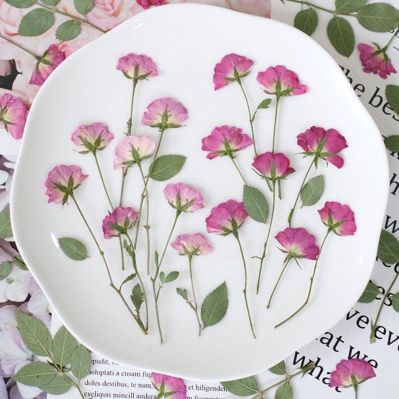 Resin Art Rose Petals - 12 peças, Mini Rosas Reais Prensadas,