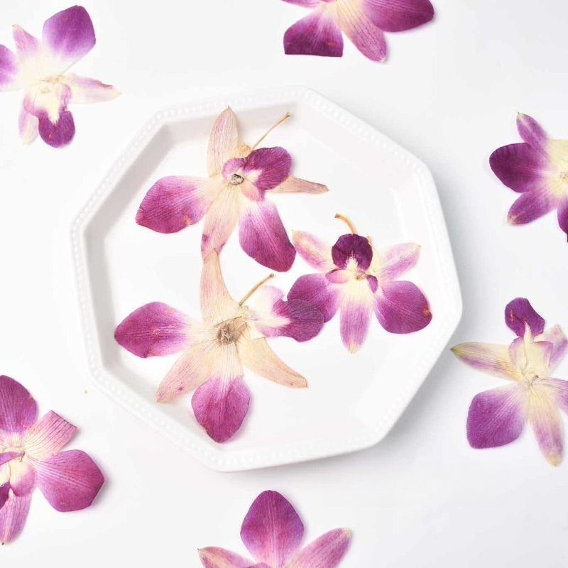 Resin Art Photo Frame - 4 peças, Flores de Orquídea Borboleta