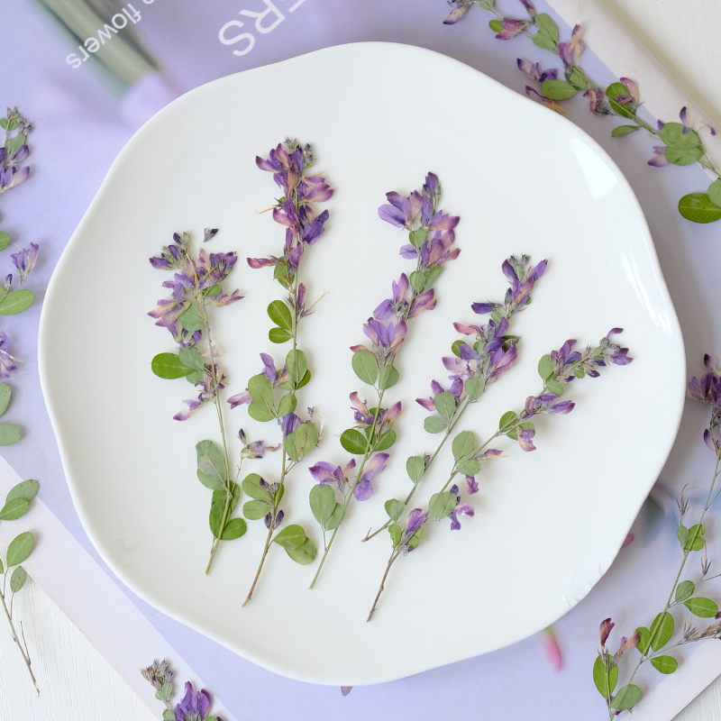6 peças, Flores Secas Naturais - Resin Art Photo Frame avaliação e preço