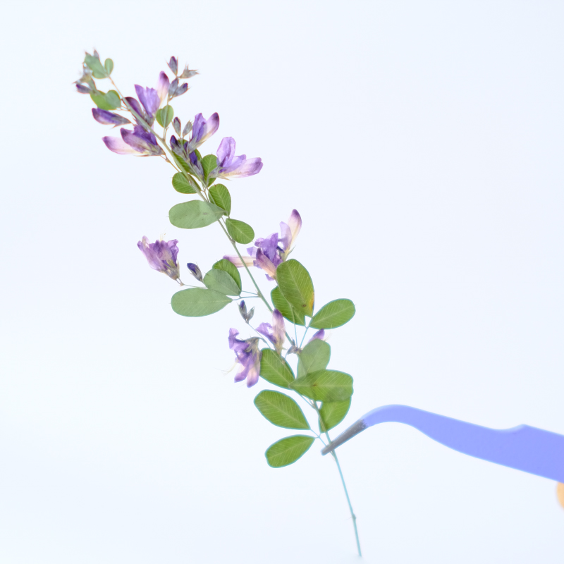 6 peças, Flores Secas Naturais - Resin Art Photo Frame avaliação e preço