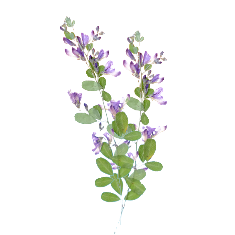 6 peças, Flores Secas Naturais - Resin Art Photo Frame avaliação e preço