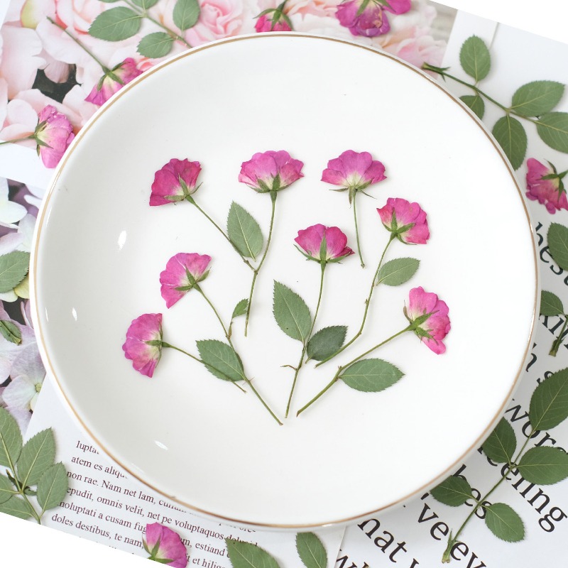 12 peças, Mini Rosas Reais Pre - Resin Art Rose Petals avaliação e preço