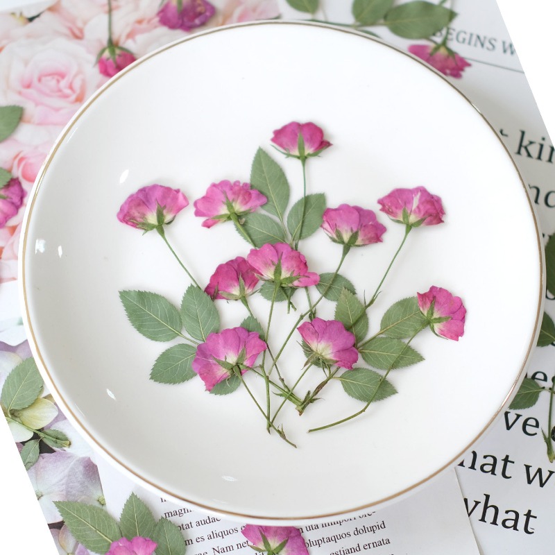 12 peças, Mini Rosas Reais Pre - Resin Art Rose Petals avaliação e preço
