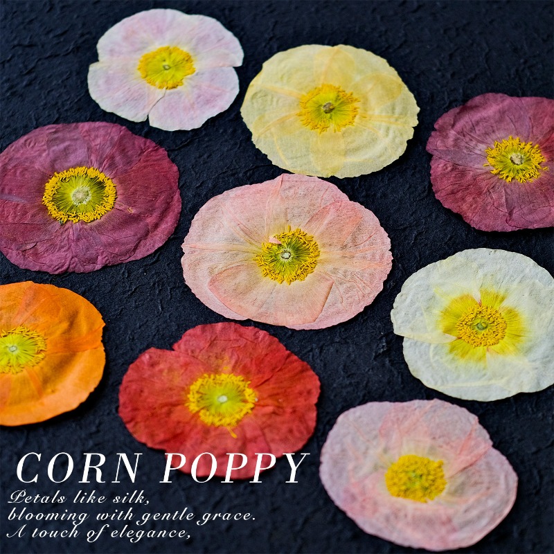 1 peça, Papoula Natural Prensa - Resin Art Photo Frame avaliação e preço