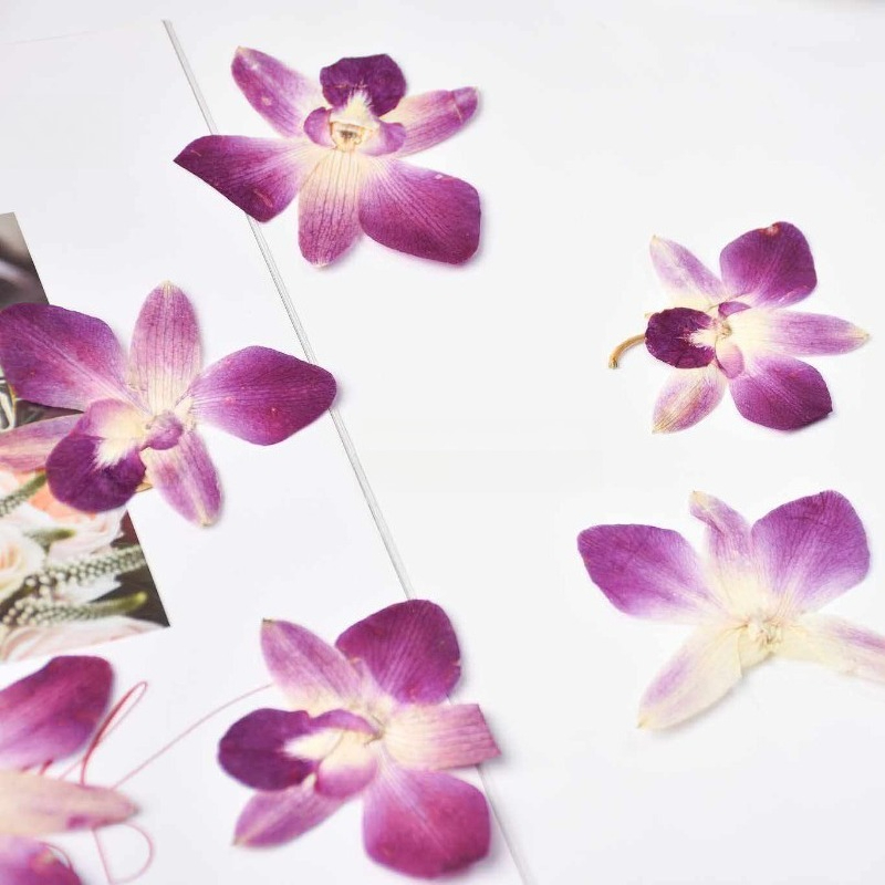 4 peças, Flores de Orquídea Bo - Resin Art Photo Frame avaliação e preço