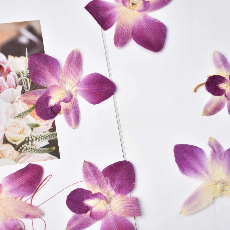 4 peças, Flores de Orquídea Bo - Resin Art Photo Frame avaliação e preço