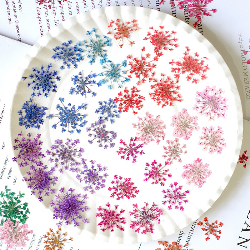 24 peças, 2-2,5cm, Pétalas de  - Resin Art Photo Frame avaliação e preço