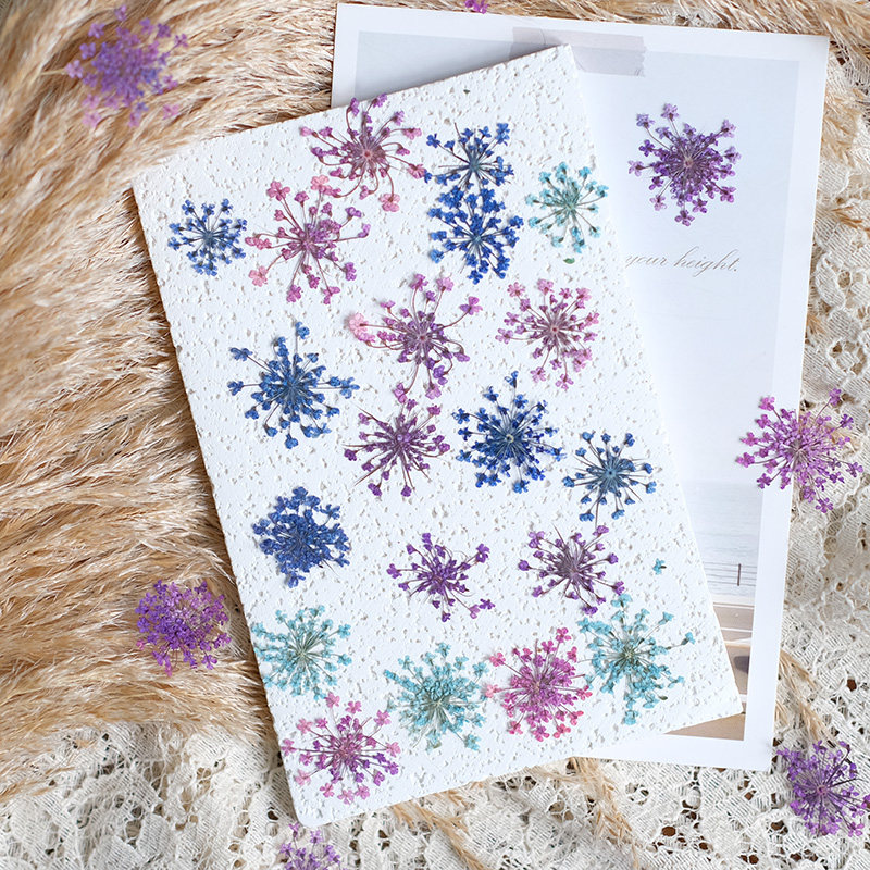 24 peças, 2-2,5cm, Pétalas de  - Resin Art Photo Frame avaliação e preço