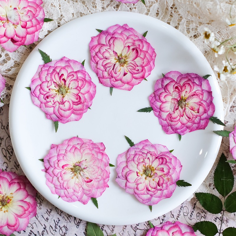 6 peças, Flores Naturais de Ro - Resin Art Rose Petals avaliação e preço