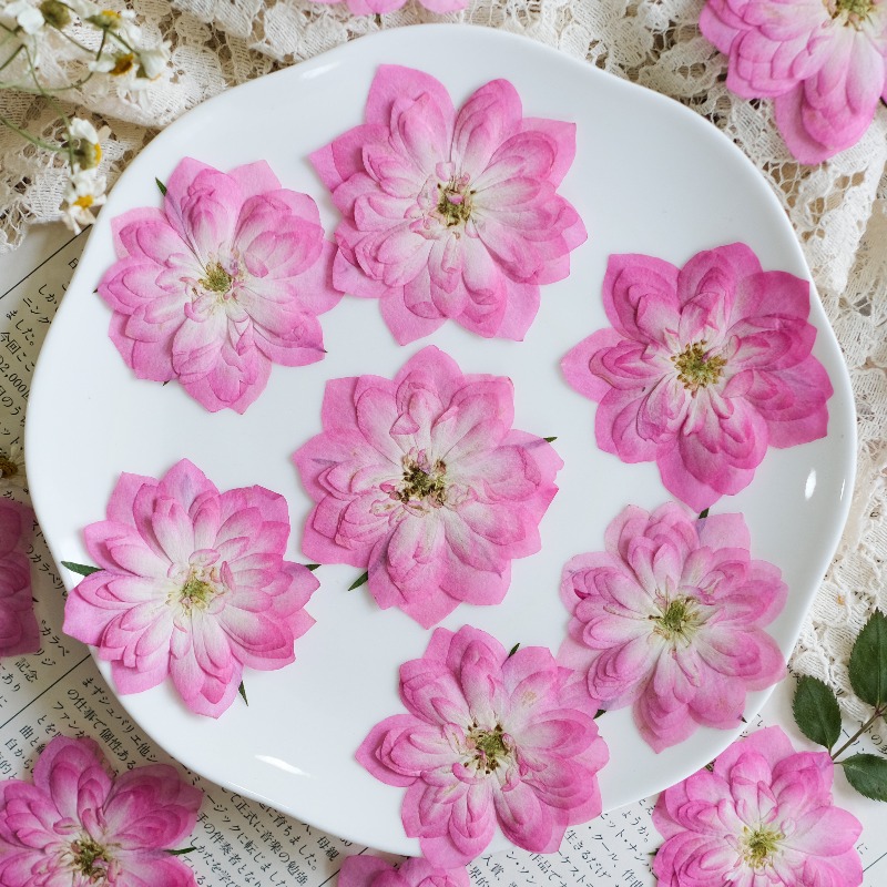 6 peças, Flores Naturais de Ro - Resin Art Rose Petals avaliação e preço