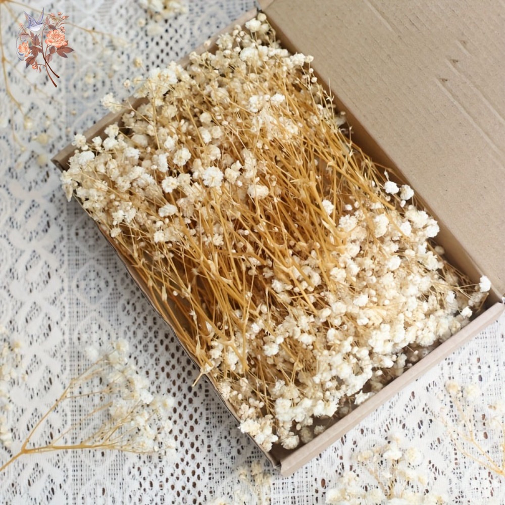 100 Peças de Flores Secas Mini - Resin Art Products avaliação e preço