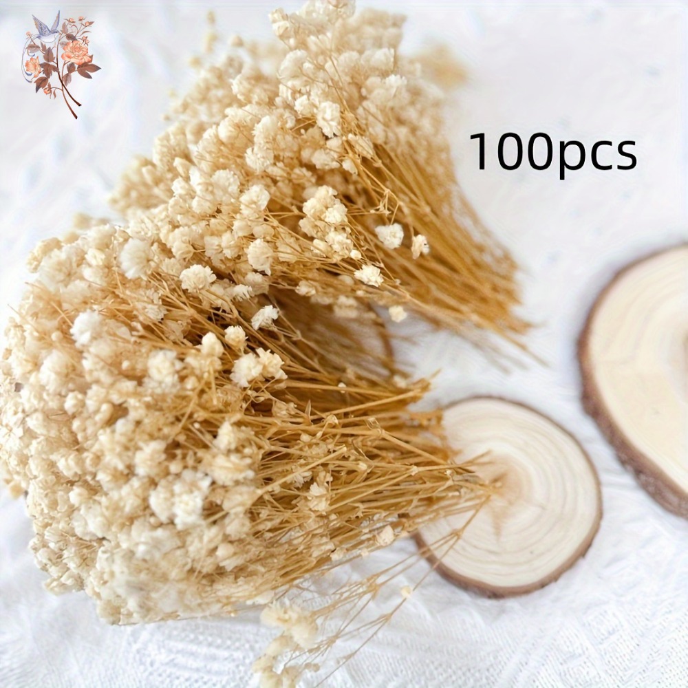 100 Peças de Flores Secas Mini - Resin Art Products avaliação e preço