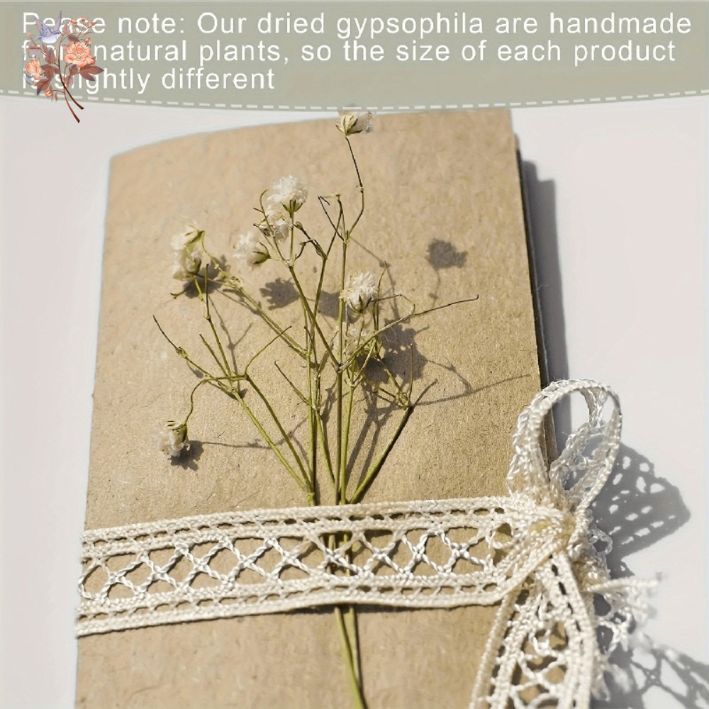 100 Peças de Flores Secas Mini - Resin Art Products avaliação e preço